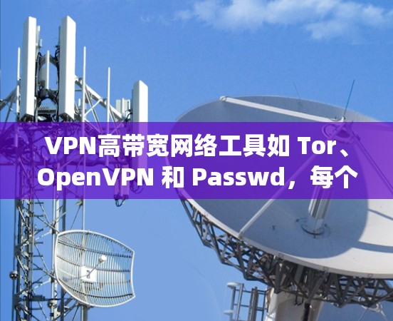 VPN高带宽网络工具如 Tor、OpenVPN 和 Passwd,每个都有其特点和适用场景,选择时需根据需求和情况决定。以下是对这些工具的详细介绍