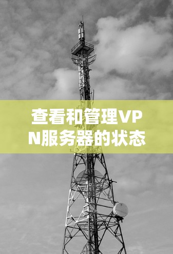 查看和管理VPN服务器的状态可以按照以下步骤进行