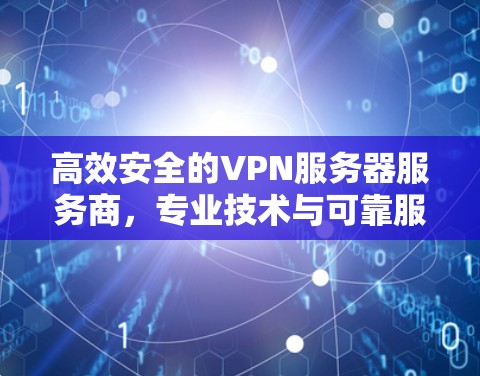 高效安全的VPN服务器服务商,专业技术与可靠服务