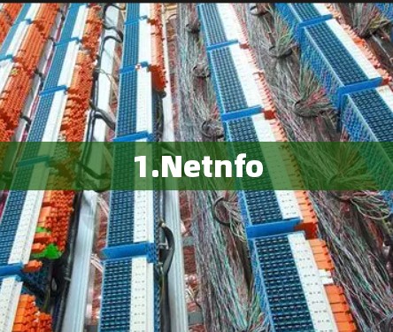 1.Netnfo