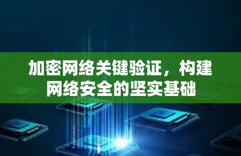 加密网络关键验证,构建网络安全的坚实基础
