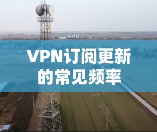 VPN订阅更新的常见频率
