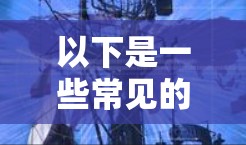以下是一些常见的VPN电脑客户端类型