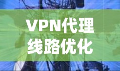 VPN代理线路优化是一个系统工程,需要从多个方面入手,以确保VPN的高效和安全运行。以下是一个结构化的优化流程指南,涵盖从评估到监控的关键步骤