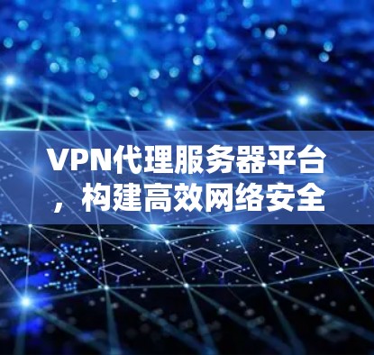 VPN代理服务器平台,构建高效网络安全防护体系