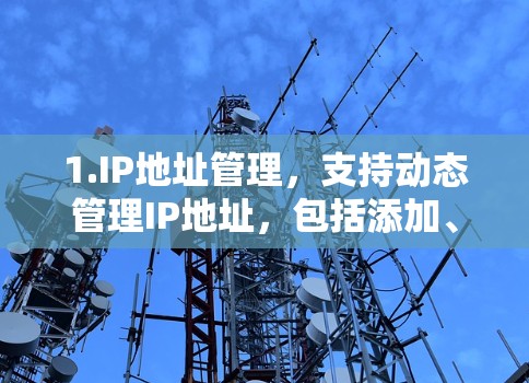 1.IP地址管理，支持动态管理IP地址，包括添加、删除和修改