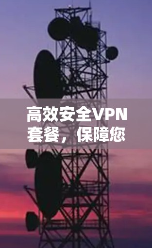 高效安全VPN套餐，保障您的网络保障