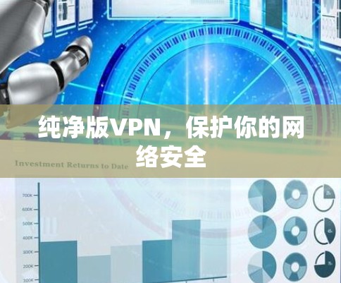 纯净版VPN，保护你的网络安全