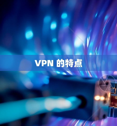 VPN 的特点
